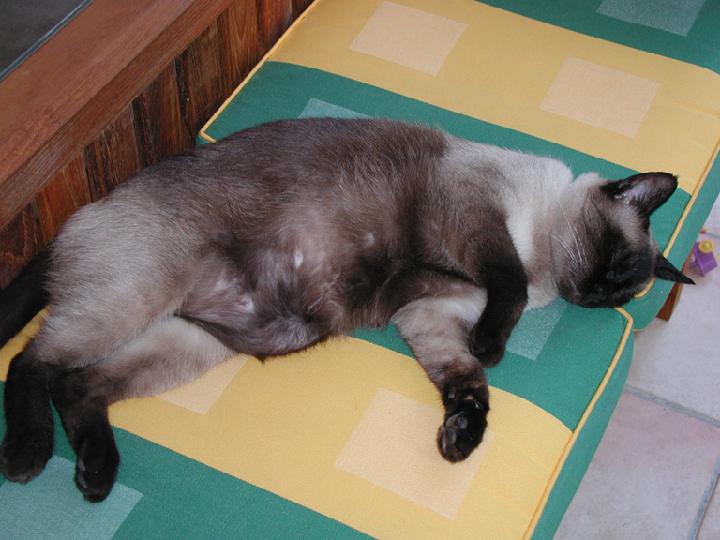 Fripouille 006.JPG